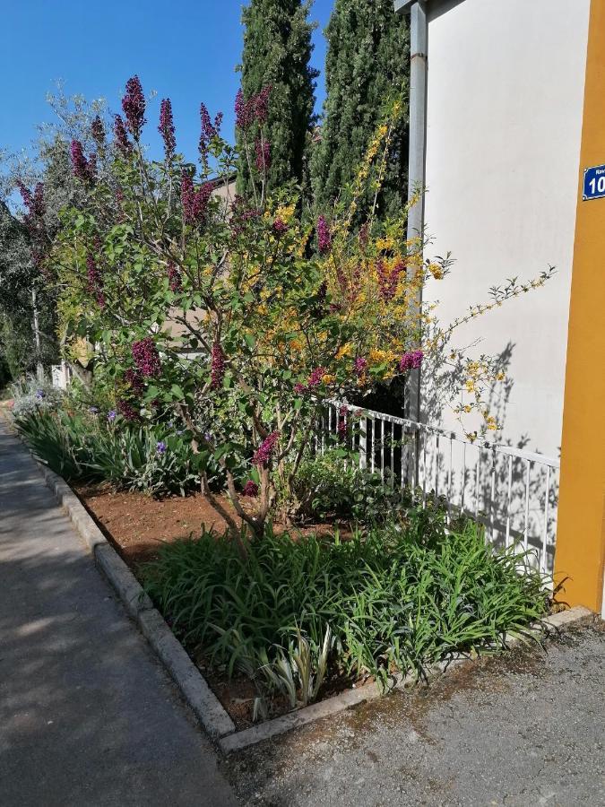 4 Roses Apartment 라브니 외부 사진